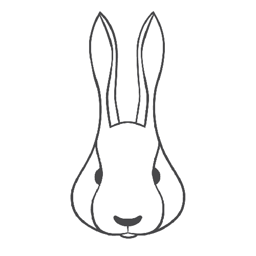 Tiny Bunny