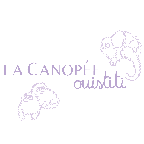 La Canopée